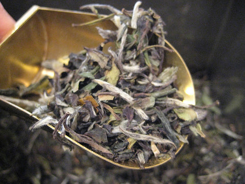 SIPP™ Bold Tea