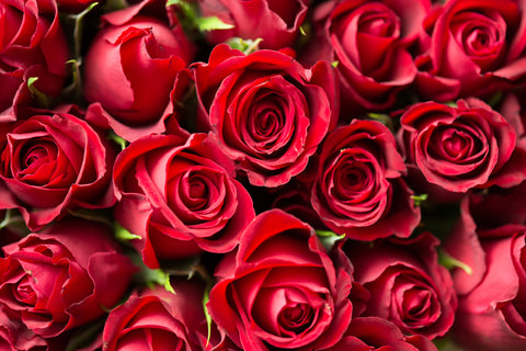 Valentine&#39;s Day 2024
